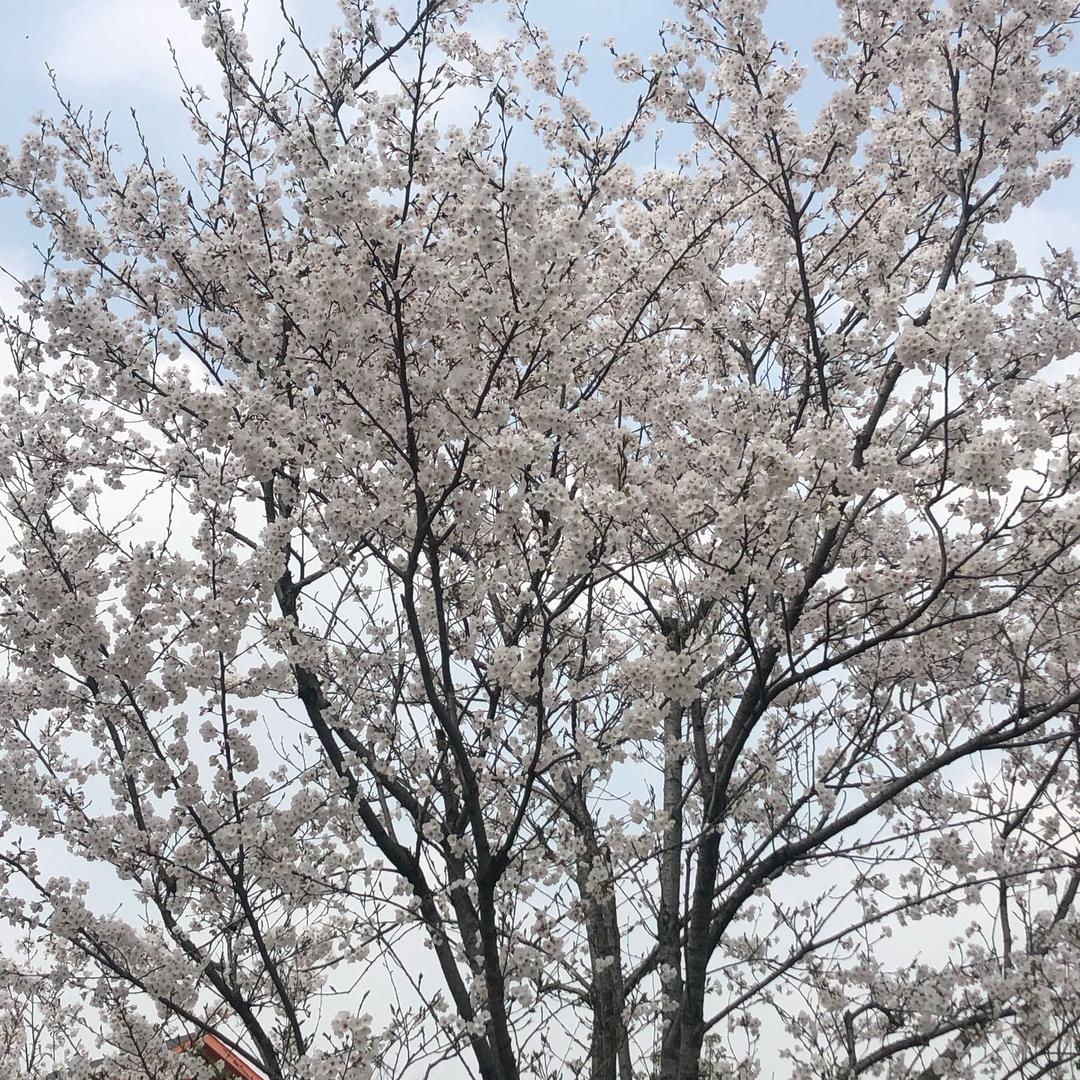 @相遇不容易