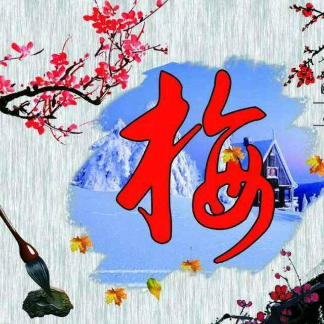 梅姐爱舞蹈