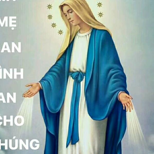 ✨✨CHUNG TAY GOP SUC