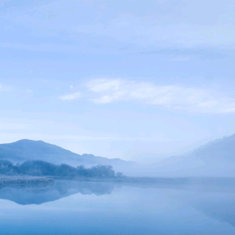 小抖