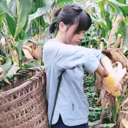 川妹小圆子