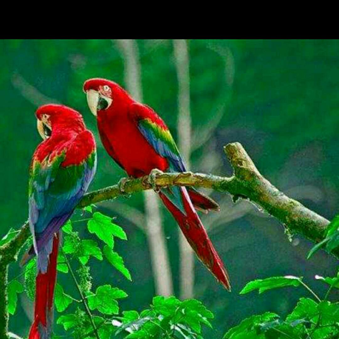 🔥无痕🔥0801🔥