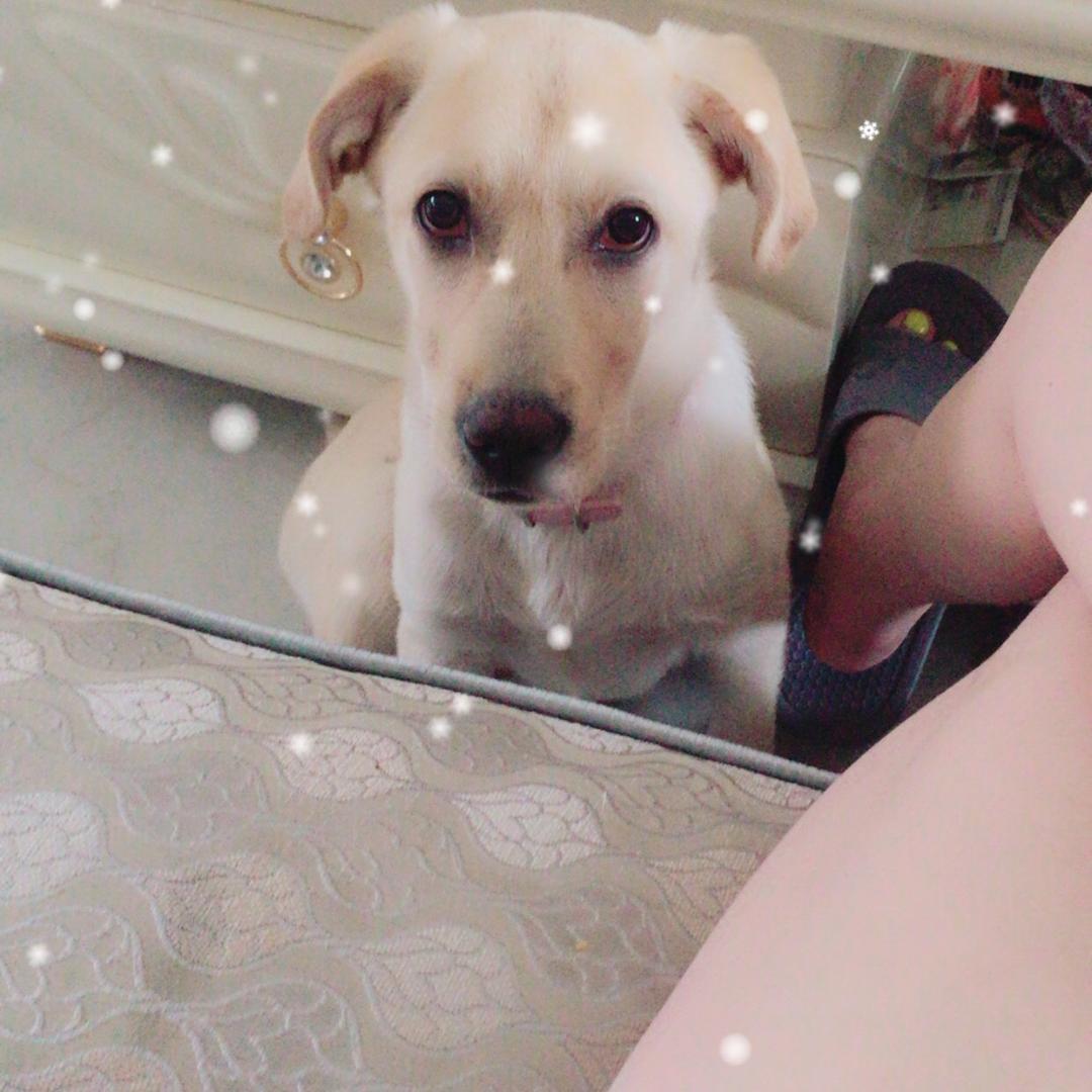 委屈