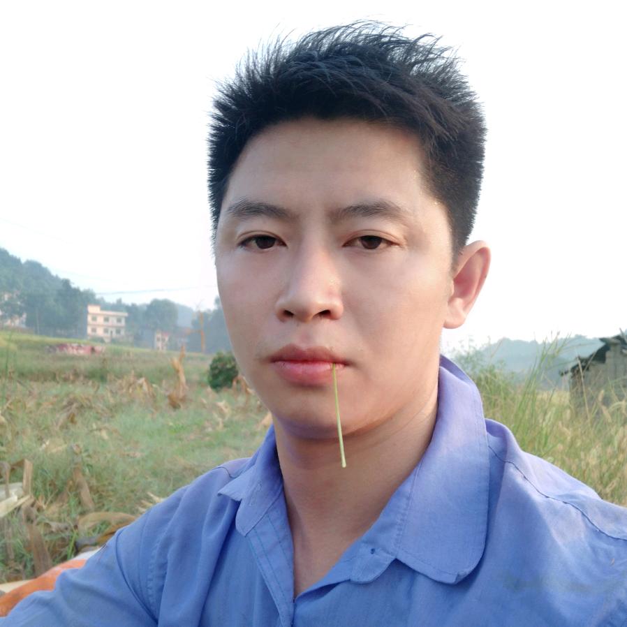 农村啊洋