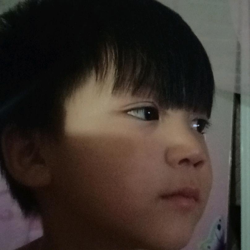 硕宝