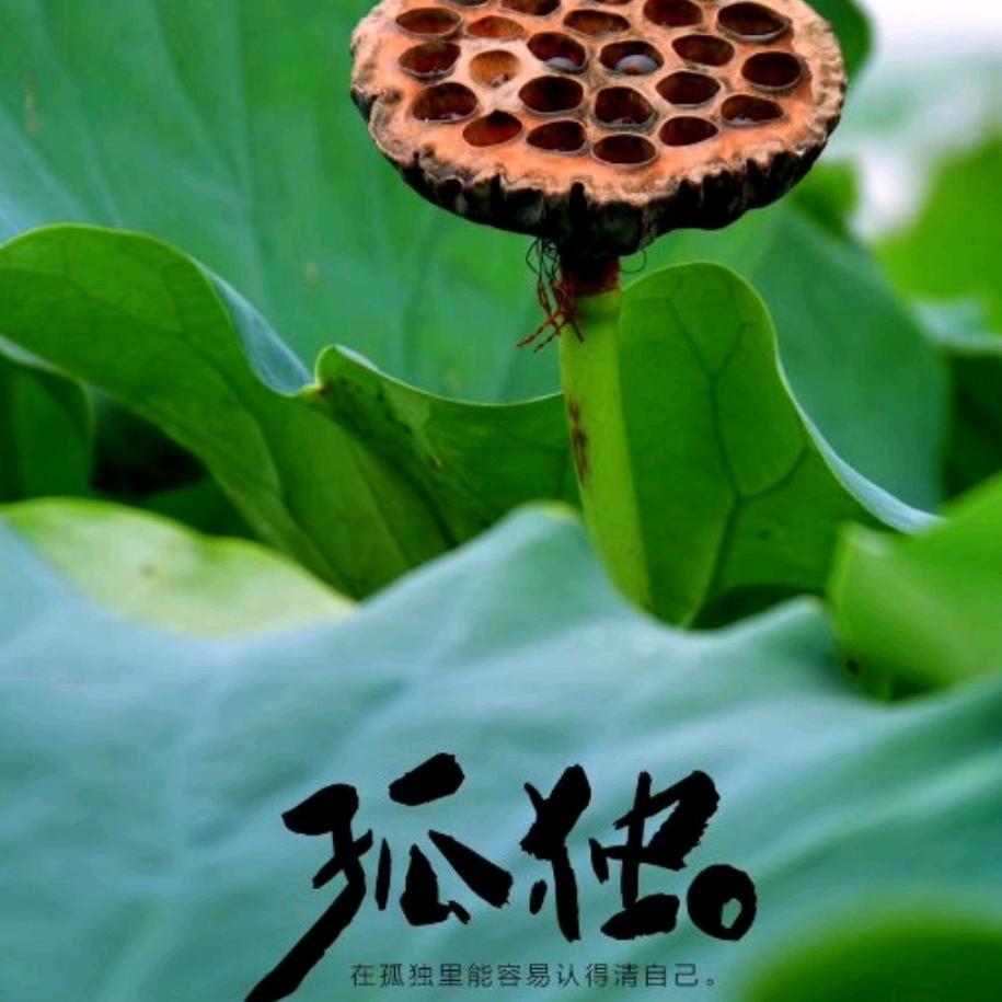我是我