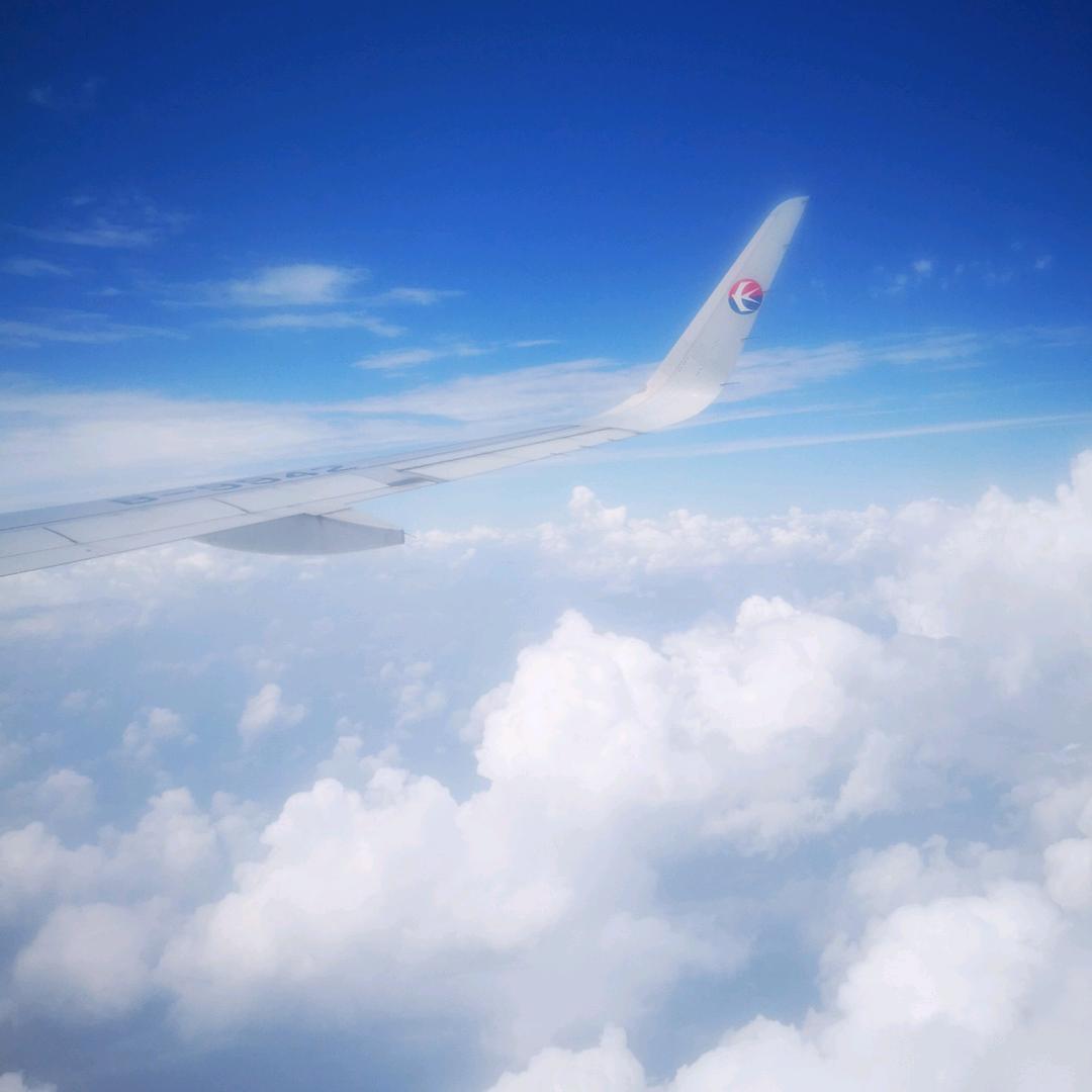 酒团长608
