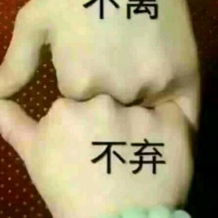 不离不弃