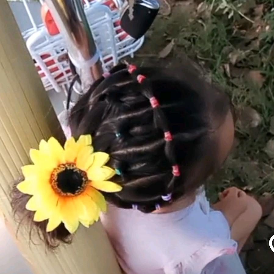 🌺陌上花开🌺