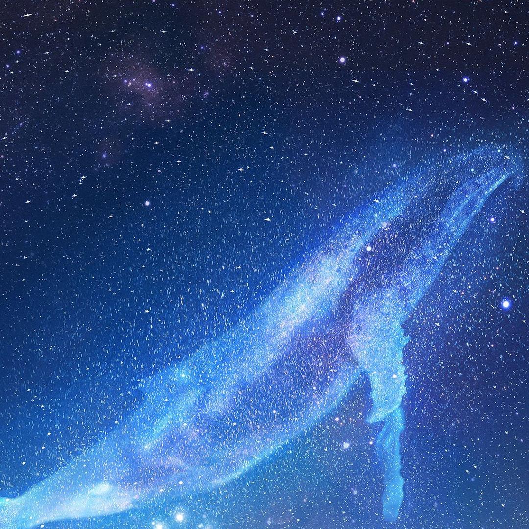 不破百万不换名
