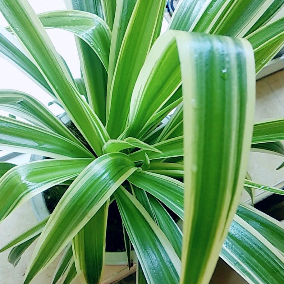 钱三娘商贸食品专卖店