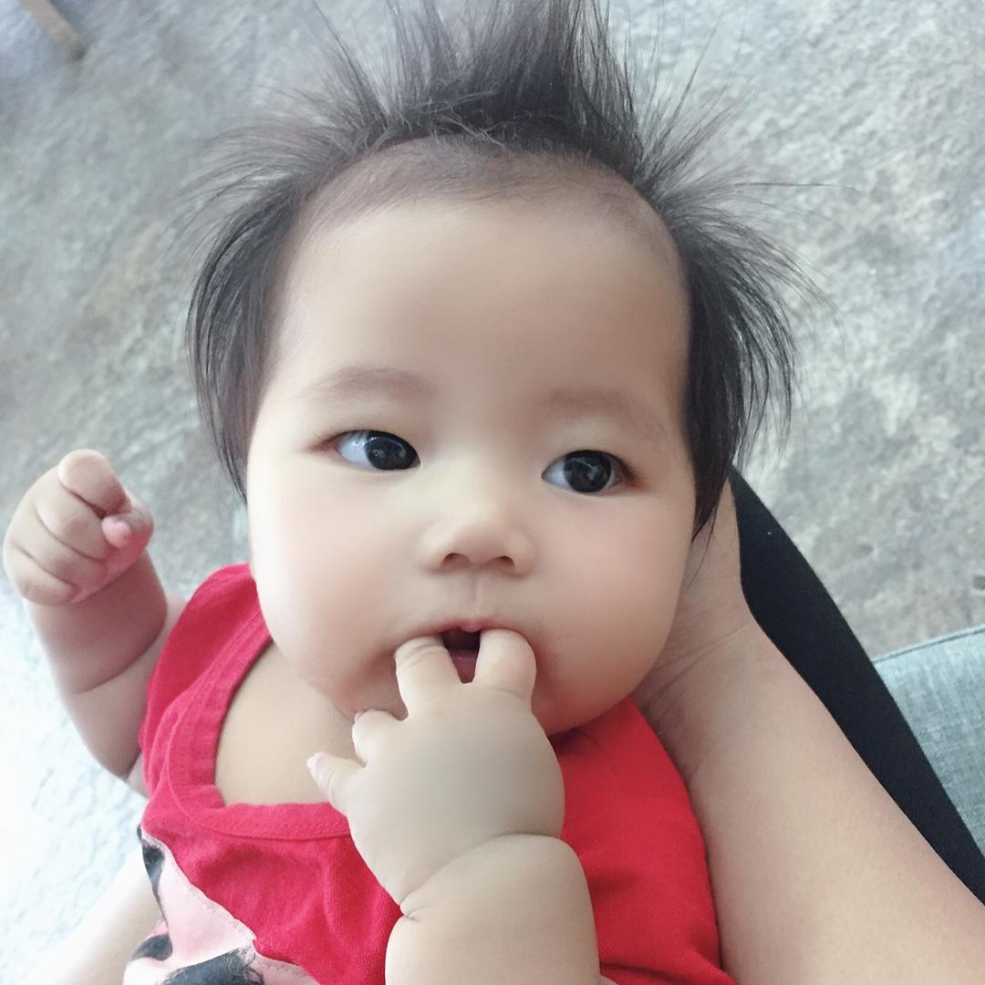 苏蘇苏