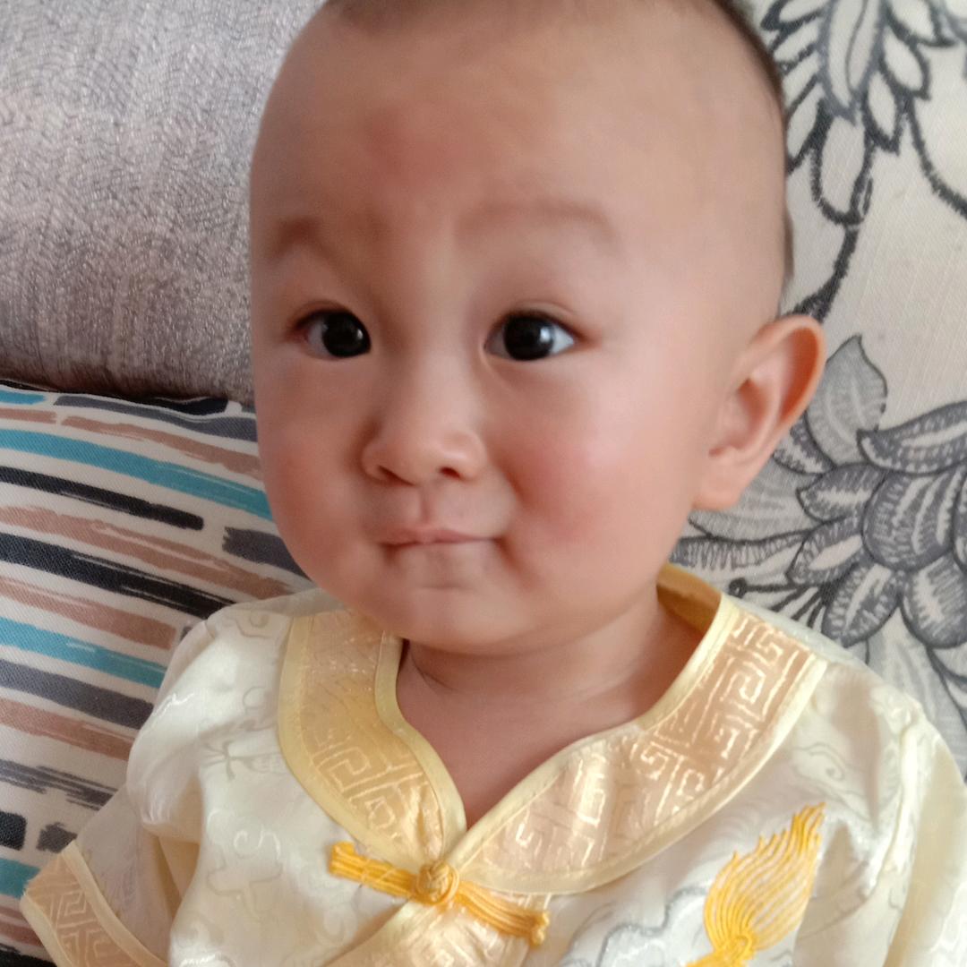贝壳我爱你们