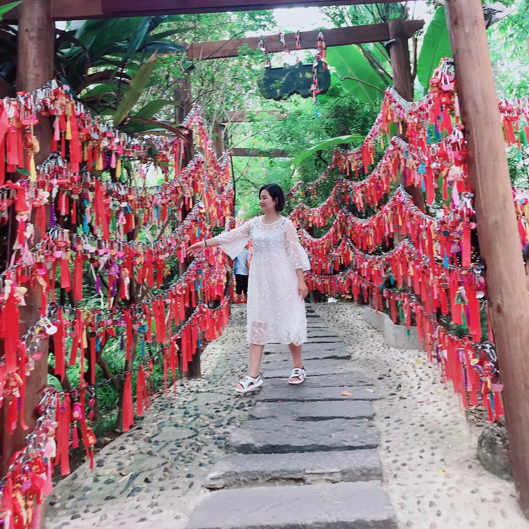 飞姬❤️