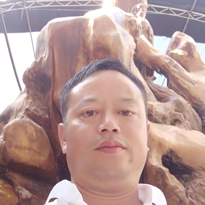 优供各种苗木草坪焦忠山