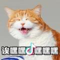 CC ~ 宋先森