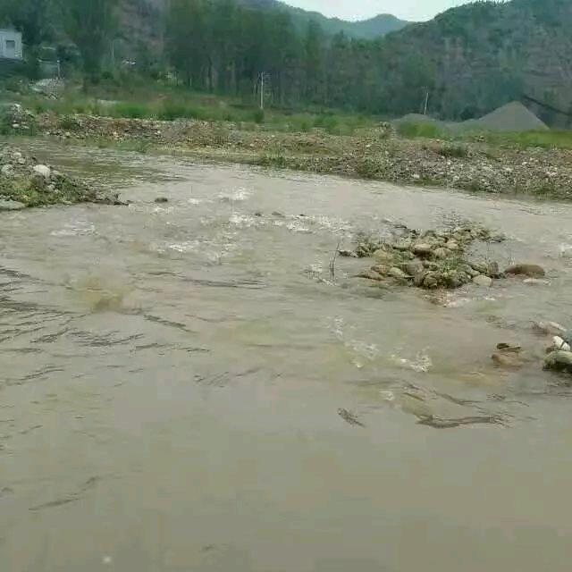 爱无悔