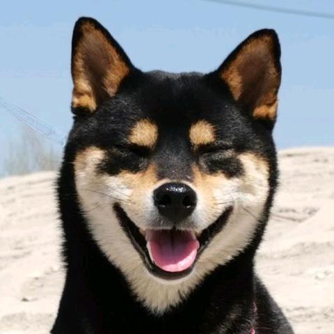 李小小-RubyRose