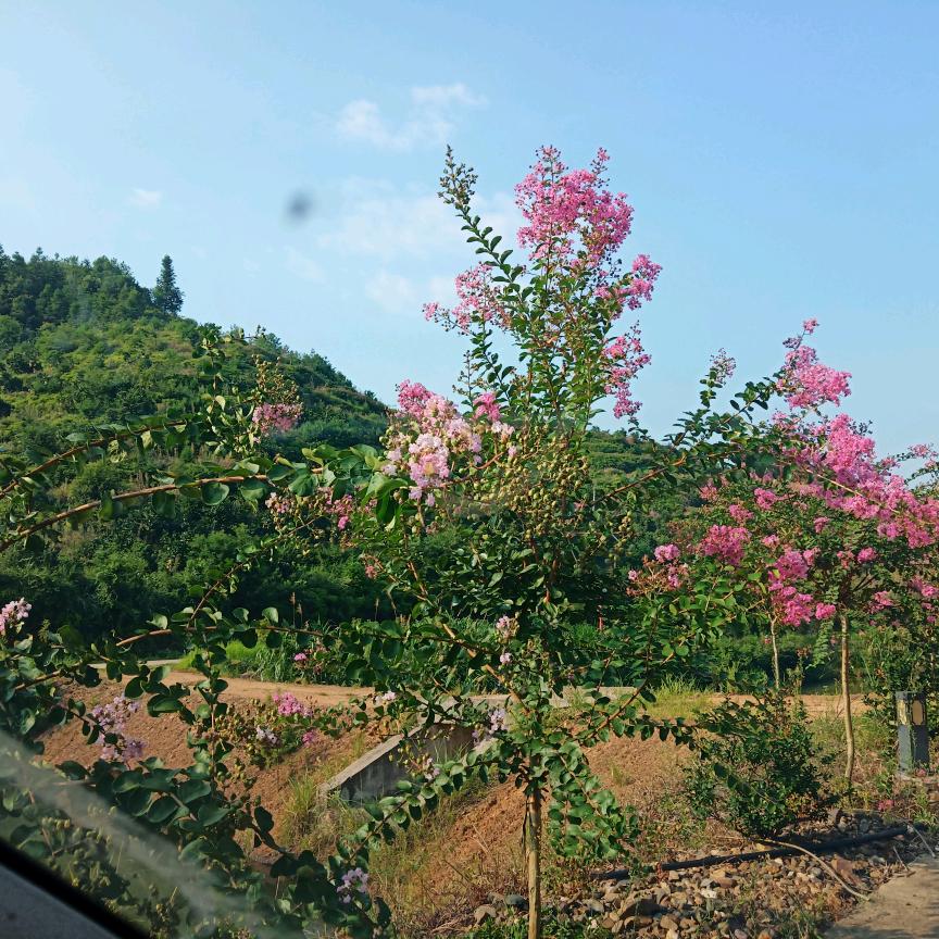 用户回心转意
