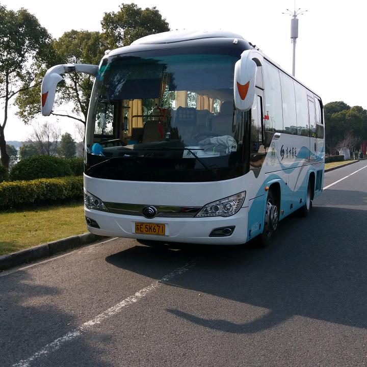 格哥