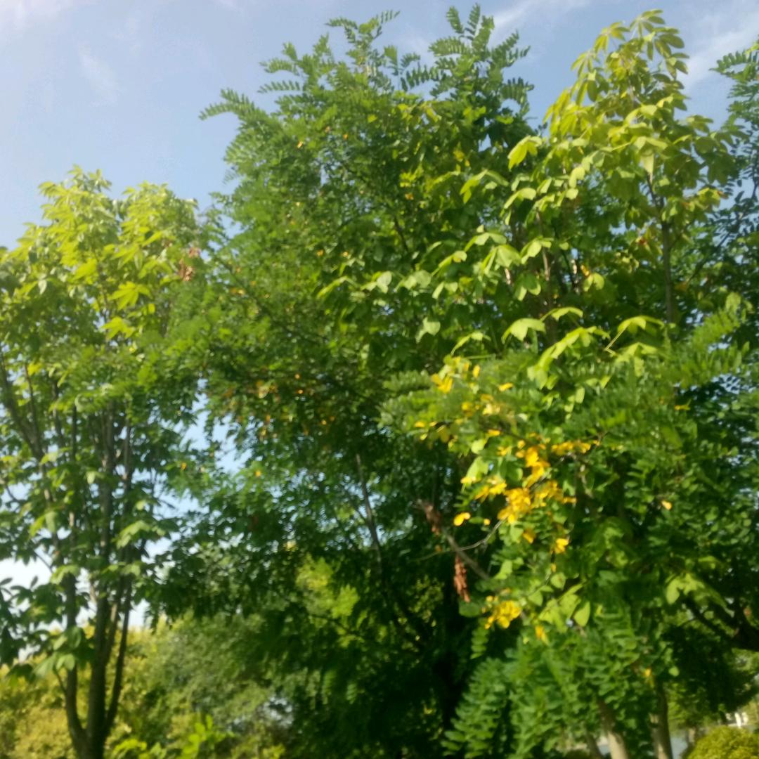 今生有缘来相聚，