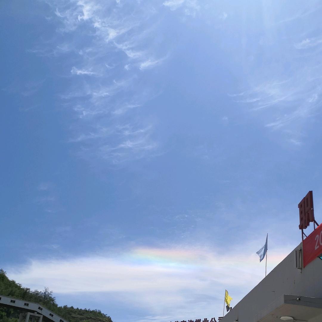 天上飞鹰