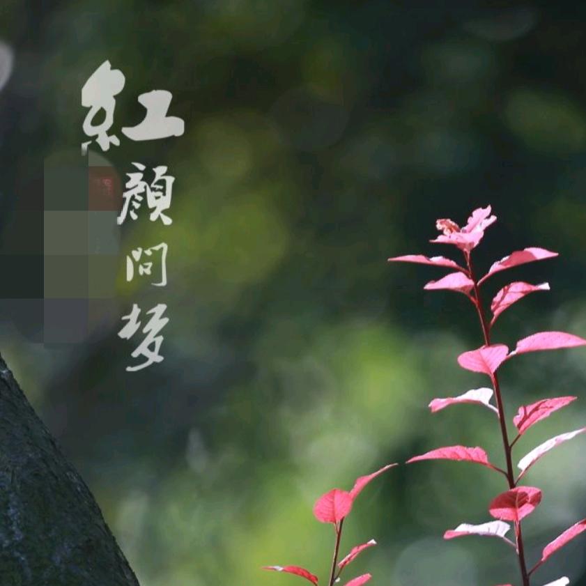 众里寻她千百度