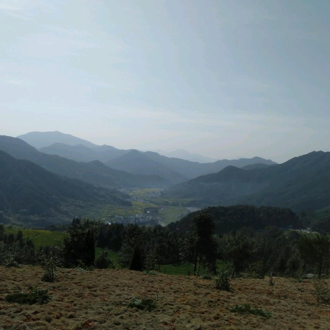 雪里红（拒绝加微信聊天）