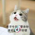 小哈是个大脑斧