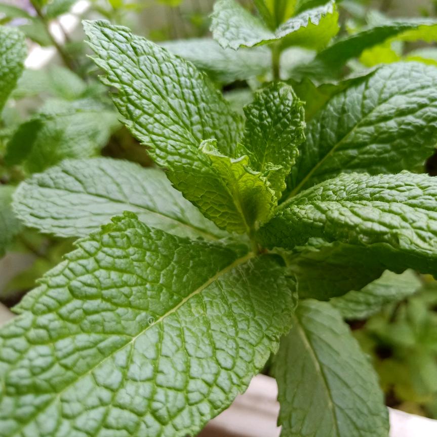 毛坪再生资源回收站