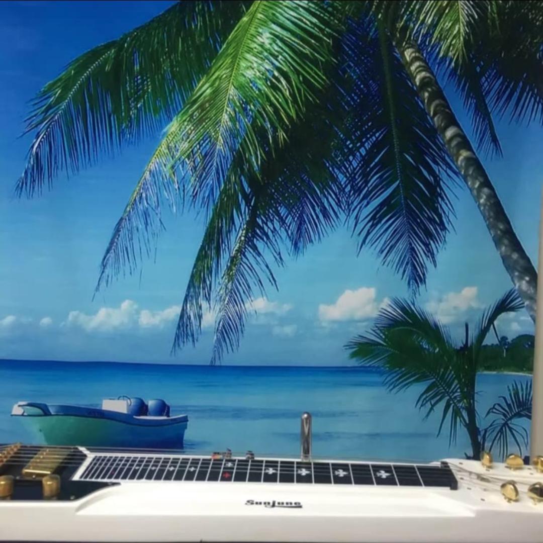 牟振洲-夏威夷吉他