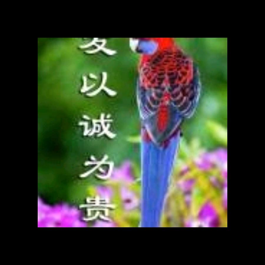 红杰娱乐分享