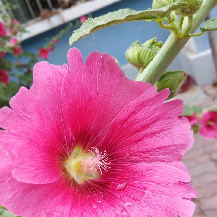 👭平安🇨🇳中国🐒