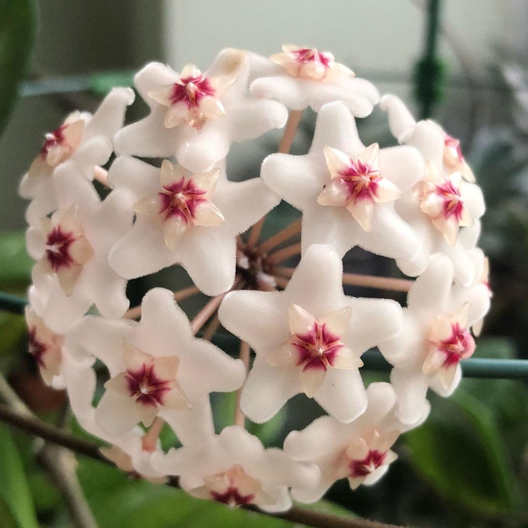 幸福是有你的味道