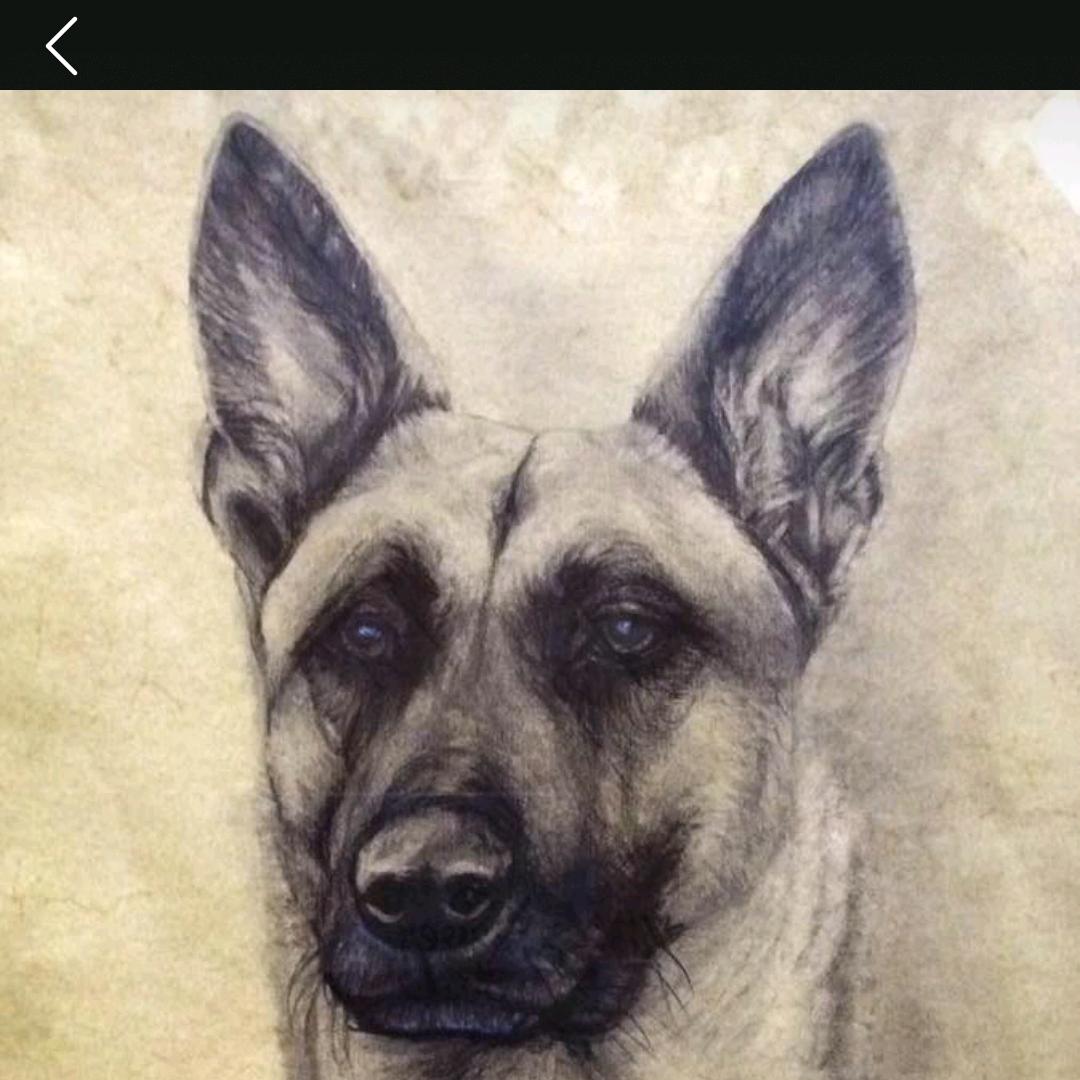 鑫祥事诚刚刚好