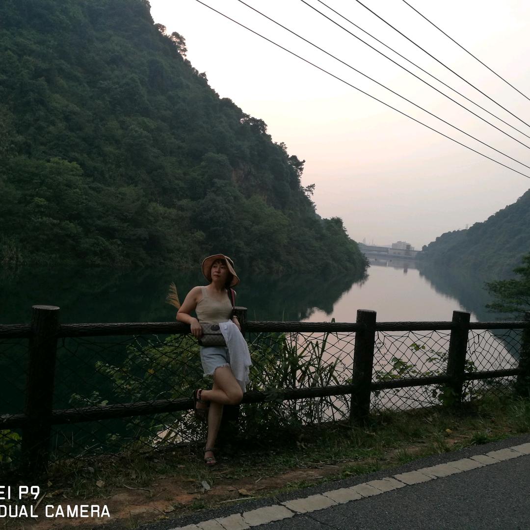 丑小鸭