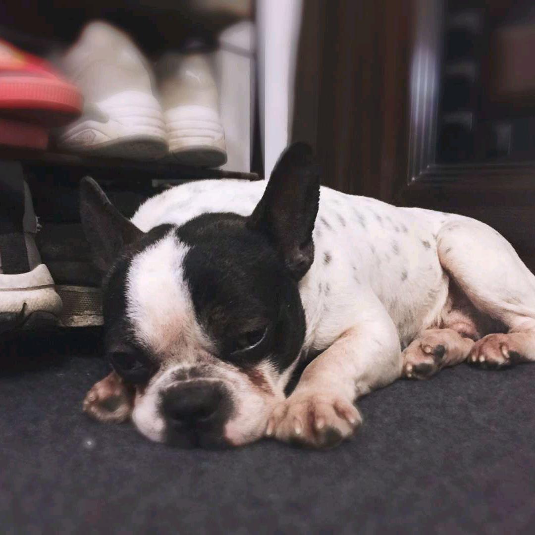 ∗❛ัᴗ❛∗很幸运&遇见你❛ัᴗ❛ั∗