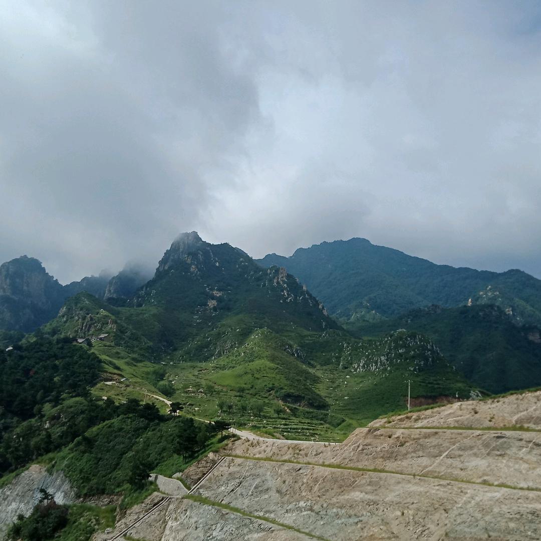 丽丽