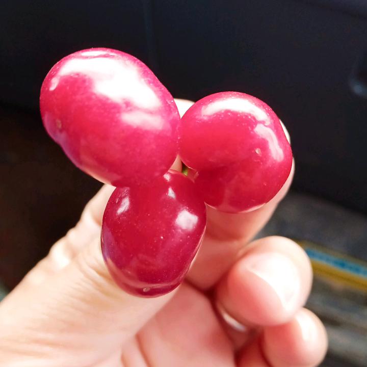 明天会更好