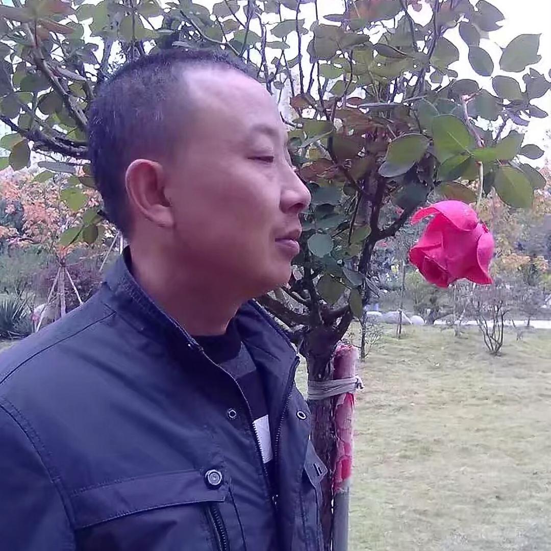 查喜得乐