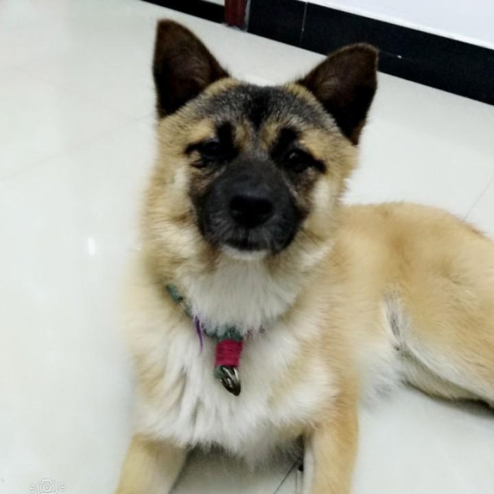 灰_(•̀ω•́ 」∠)_