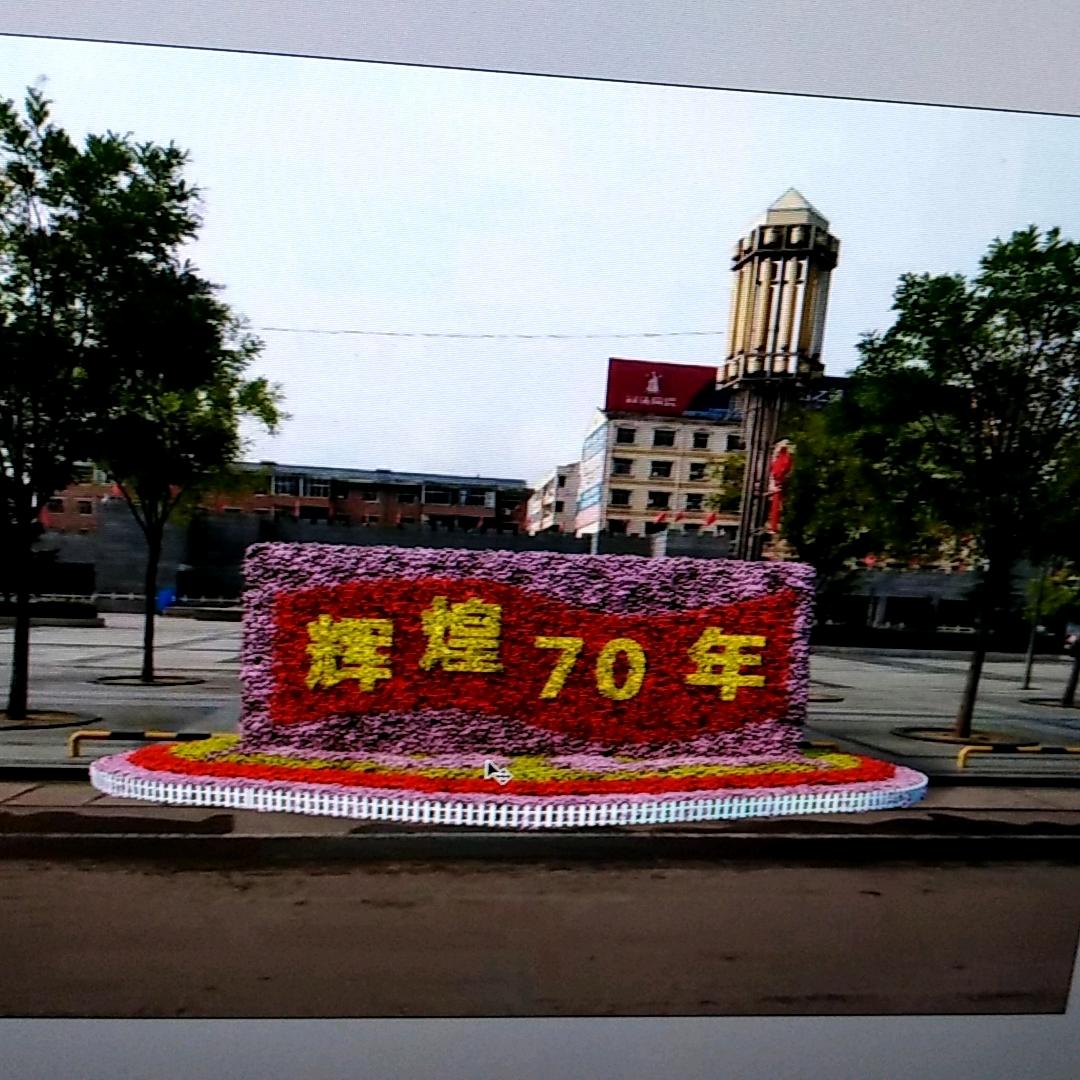 西安花卉，冷暖自知。