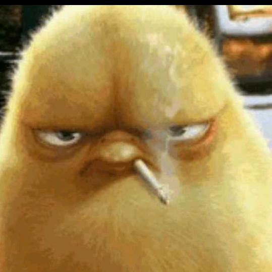 疯狂的坷垃头子