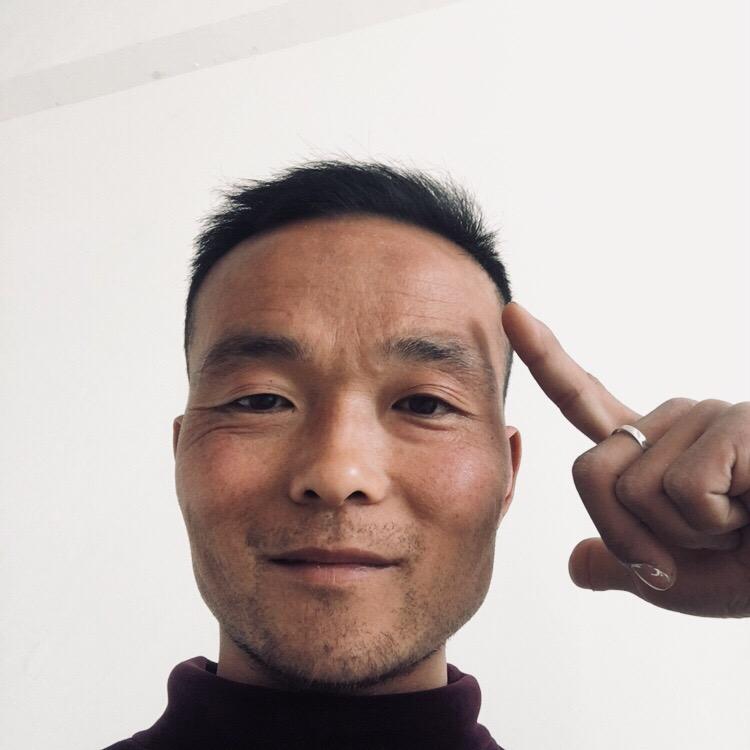 陕西二哥
