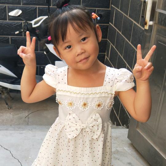 凤黄传奇