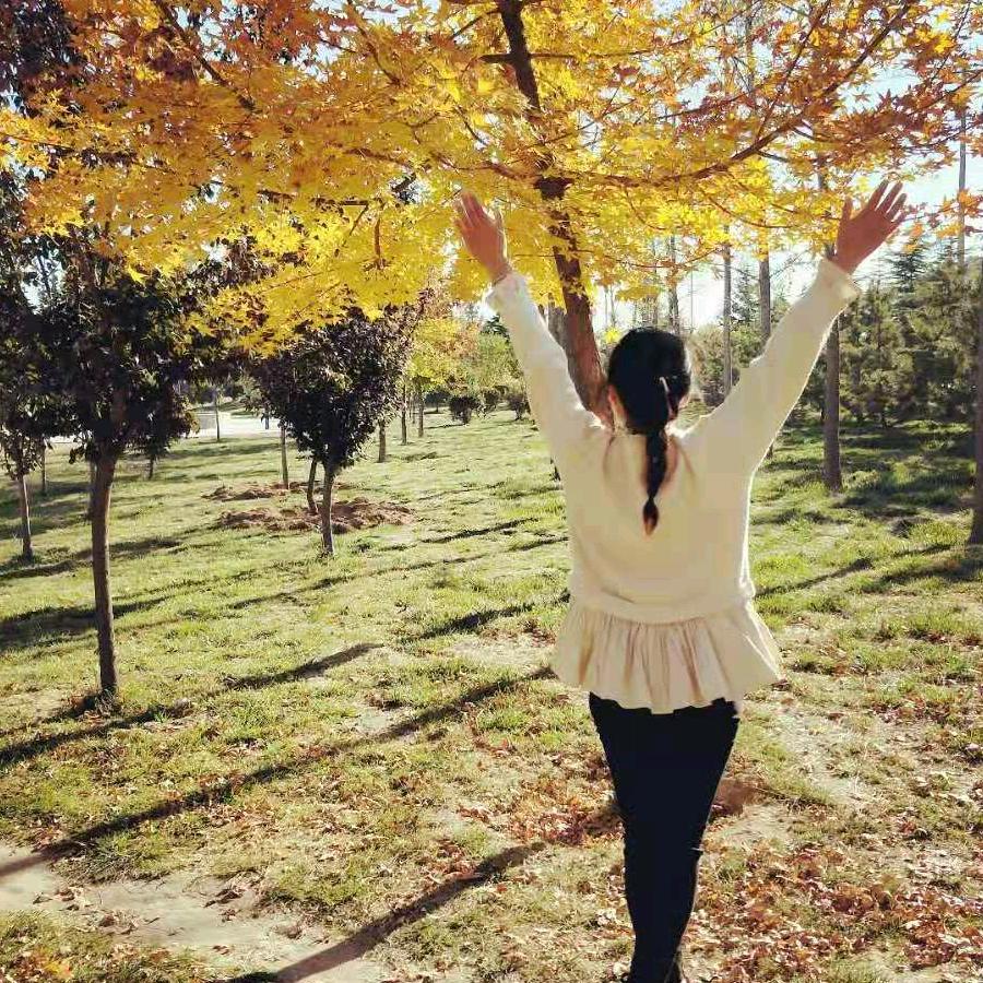 （淑清农机服务合作社）