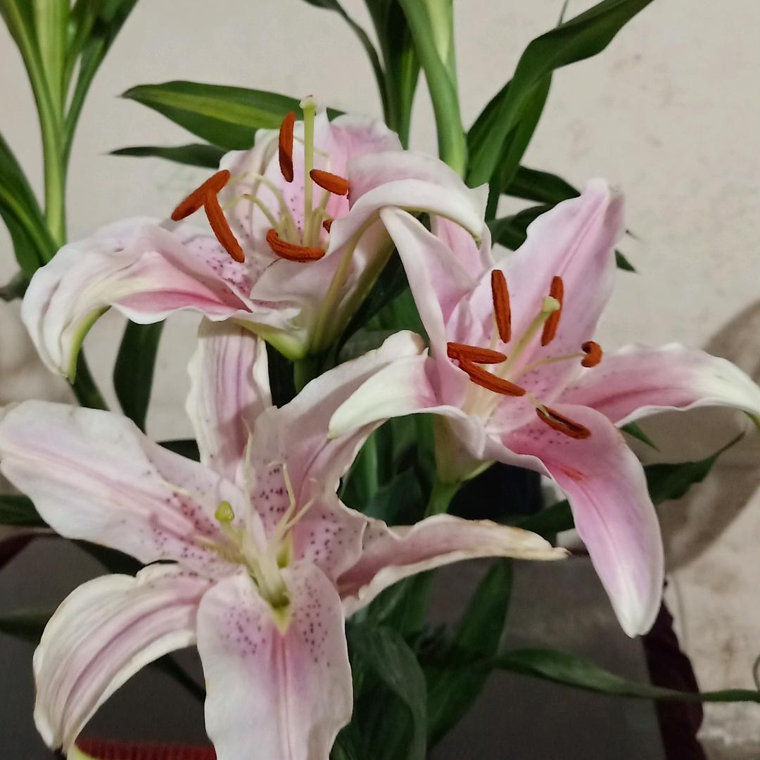 有缘人。