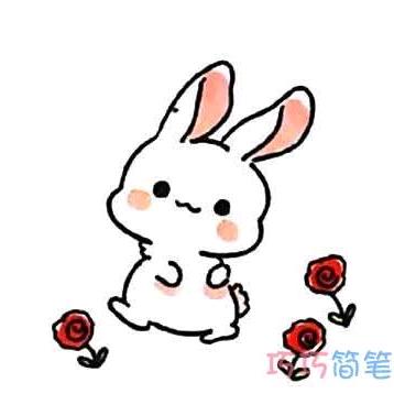 鱼小兔