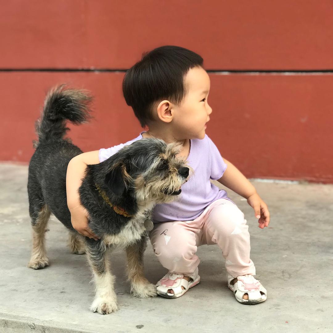 娃与猫的世界