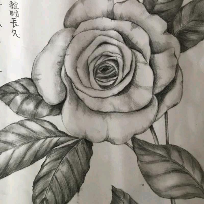 美好时光记录本